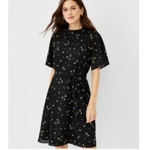 ANN Taylor Smock Dress Short Sleeve Shirt Dress EUC! Size LP